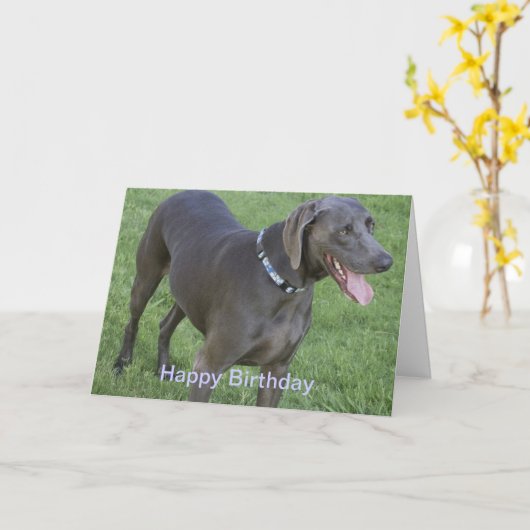 De Kaart van de Verjaardag van de Hond van (Gele Bloem)