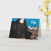 De Kaart van de Verjaardag van de hond van (Gele Bloem)