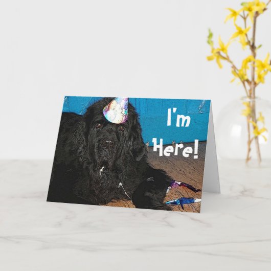 De Kaart van de Verjaardag van de hond van (Gele Bloem)