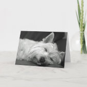De Kaart van de Verjaardag van de Hond van Westie (Achterkant)