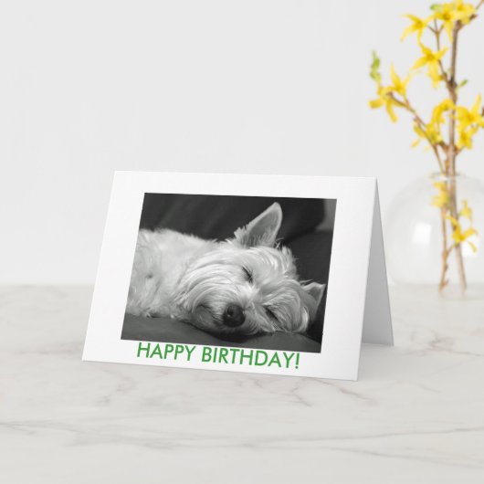 De Kaart van de Verjaardag van de Hond van Westie (Gele Bloem)
