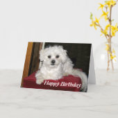 De Kaart van de Verjaardag van de honing (Gele Bloem)