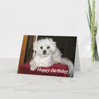 De Kaart van de Verjaardag van de honing