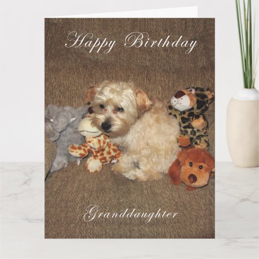 De Kaart van de Verjaardag van de Kleindochter van (Voorkant)