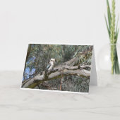 De Kaart van de Verjaardag van de kookaburra (Achterkant)