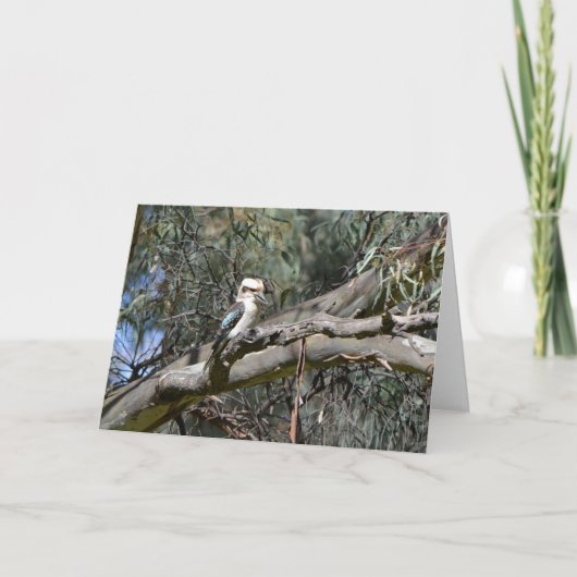 De Kaart van de Verjaardag van de kookaburra (Voorkant)