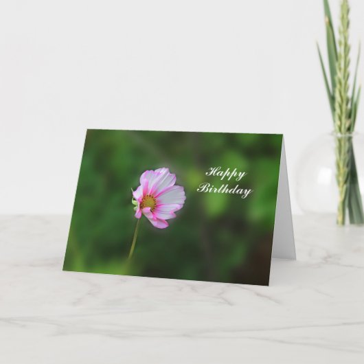 De Kaart van de Verjaardag van de kosmos (Voorkant)