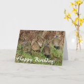 De Kaart van de Verjaardag van de Kwartels van (Gele Bloem)
