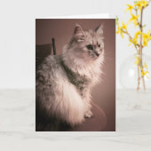 De kaart van de Verjaardag van de Miauw van de Kat (Gele Bloem)