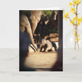 De Kaart van de Verjaardag van de Olifant van het (Gele Bloem)