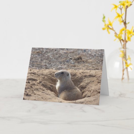 De Kaart van de Verjaardag van de prairiehond (Gele Bloem)