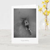 De Kaart van de Verjaardag van de schipbreuk (Gele Bloem)