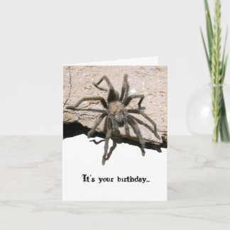 De Kaart van de Verjaardag van de tarantula