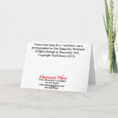 De Kaart van de Verjaardag van de Vogel van het (Achterkant)