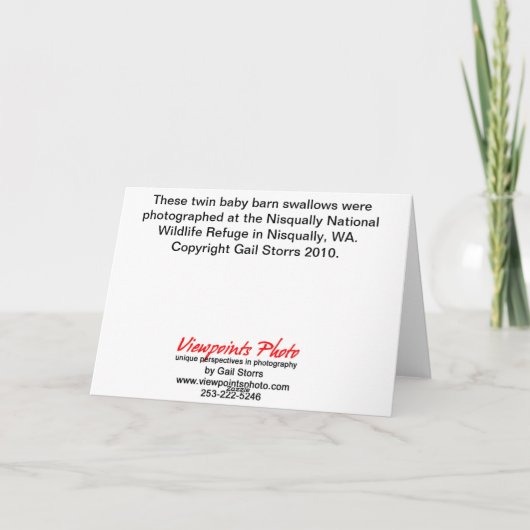 De Kaart van de Verjaardag van de Vogel van het (Achterkant)