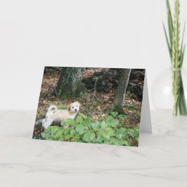 De Kaart van de Verjaardag van Doggie