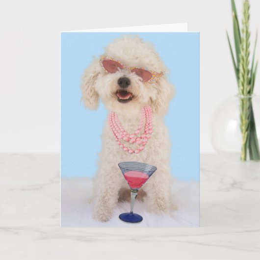 De Kaart van de Verjaardag van Frise van Bichon (Voorkant)
