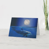 De Kaart van de Verjaardag van het Heelal van de (Voorkant)