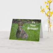 De Kaart van de Verjaardag van het konijntje (Gele Bloem)