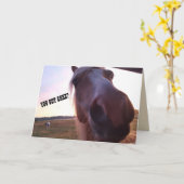 De Kaart van de Verjaardag van het paard (Gele Bloem)