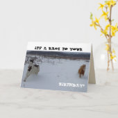 De Kaart van de Verjaardag van het paard met (Gele Bloem)