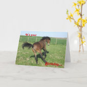 De Kaart van de Verjaardag van het pony (Gele Bloem)