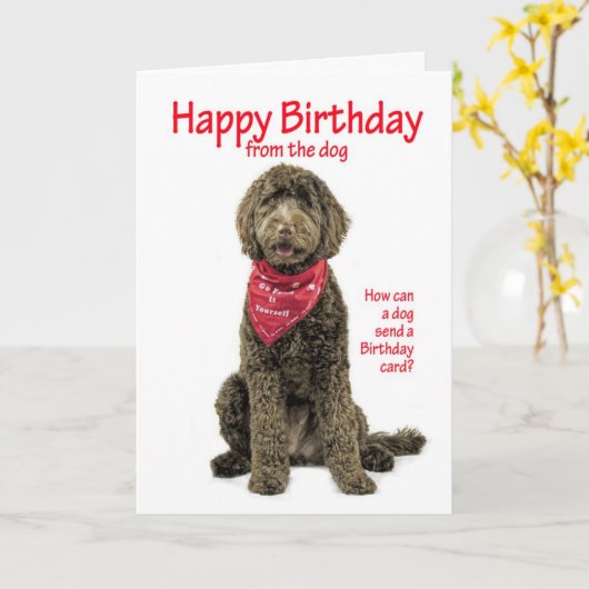 De Kaart van de Verjaardag van Labradoodle (Gele Bloem)