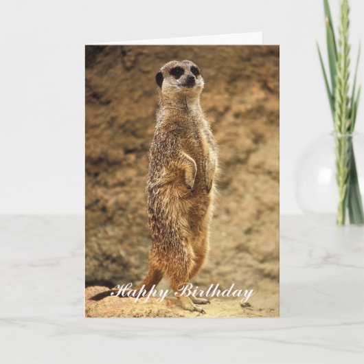 De Kaart van de Verjaardag van Meerkat (Voorkant)