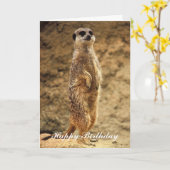 De Kaart van de Verjaardag van Meerkat (Gele Bloem)