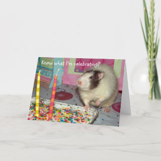 De Kaart van de Verjaardag van Ollie van de Rat