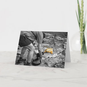 De Kaart van de Verjaardag van Paparazzi van de