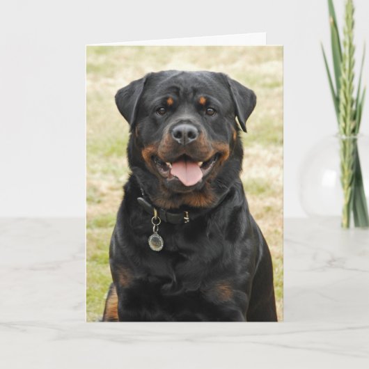 De Kaart van de Verjaardag van Rottweiler (Voorkant)