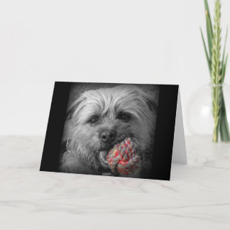 De Kaart van de Verjaardag van Terrier van de