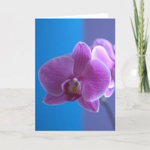 De Kaart van de verjaardag voor Dochter -- Orchid