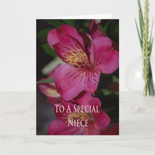 De Kaart van de verjaardag voor Nicht (Voorkant)