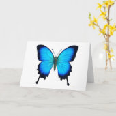 De Kaart van de Vlinder van Ulysses van Papilio (Gele Bloem)