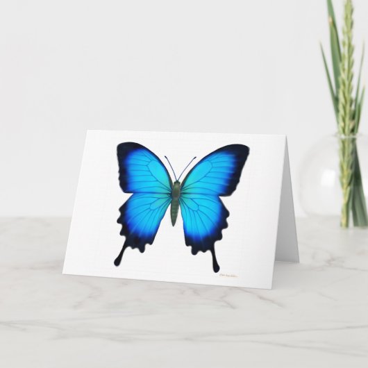 De Kaart van de Vlinder van Ulysses van Papilio (Voorkant)