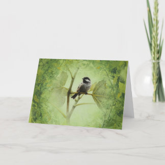 De Kaart van de vogel door Andrew Denman