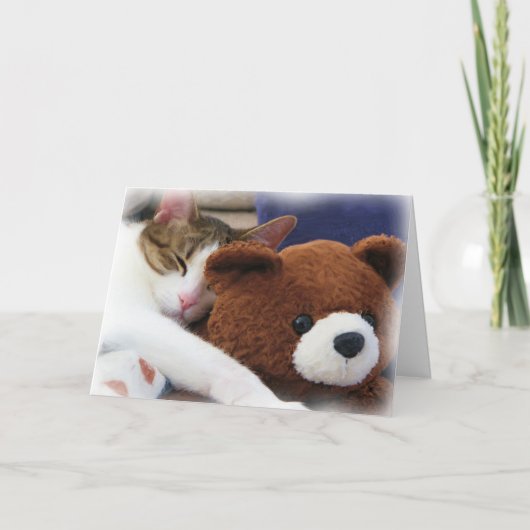 De Kaart van de Vriend van Teddy van het kat (Voorkant)