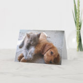 De Kaart van de vriendschap (Voorkant)