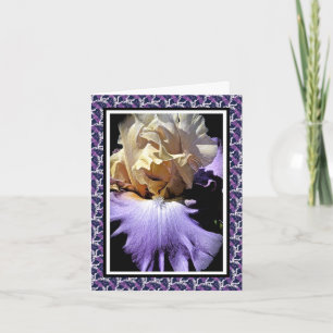 De Kaart van de vriendschap