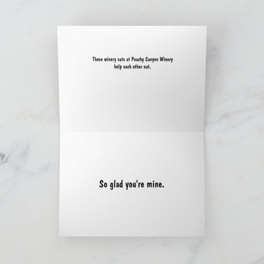 De Kaart van de vriendschap, de Katten van de (Binnen)