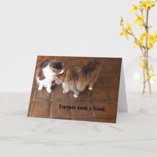 De Kaart van de vriendschap, de Katten van de (Gele Bloem)