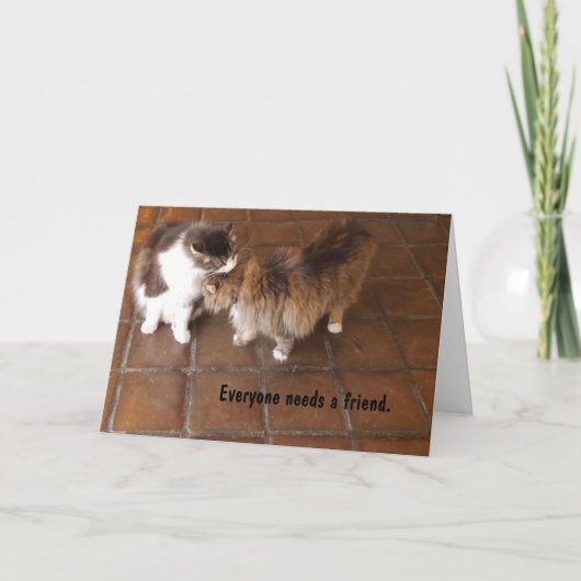 De Kaart van de vriendschap, de Katten van de (Voorkant)