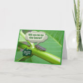 De Kaart van de Vultrechter van het Blad van de (Voorkant)