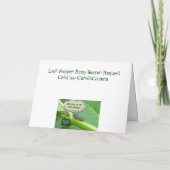 De Kaart van de Vultrechter van het Blad van de (Achterkant)