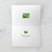 De Kaart van de Vultrechter van het Blad van de (Binnen)