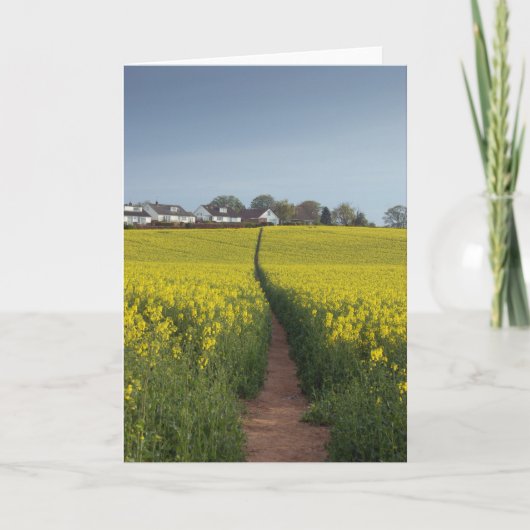 De Kaart van de Weg van het oliehoudende Zaad (Voorkant)