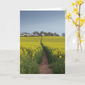 De Kaart van de Weg van het oliehoudende Zaad (Gele Bloem)