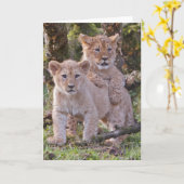 De kaart van de welpengroeten van de leeuw, (Gele Bloem)